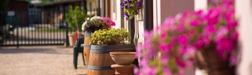 Agriturismo Casa Rosa