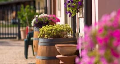 Agriturismo Casa Rosa