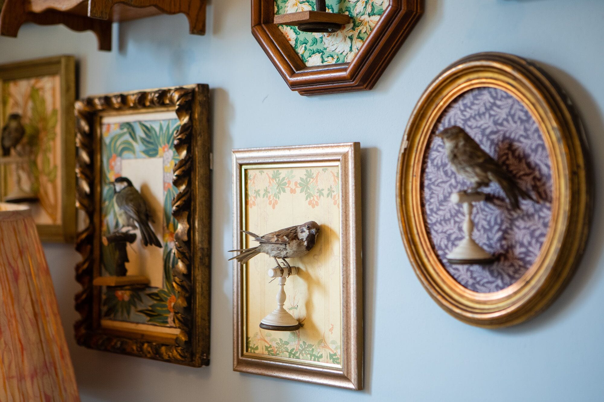 Foto - The Bird, Bath