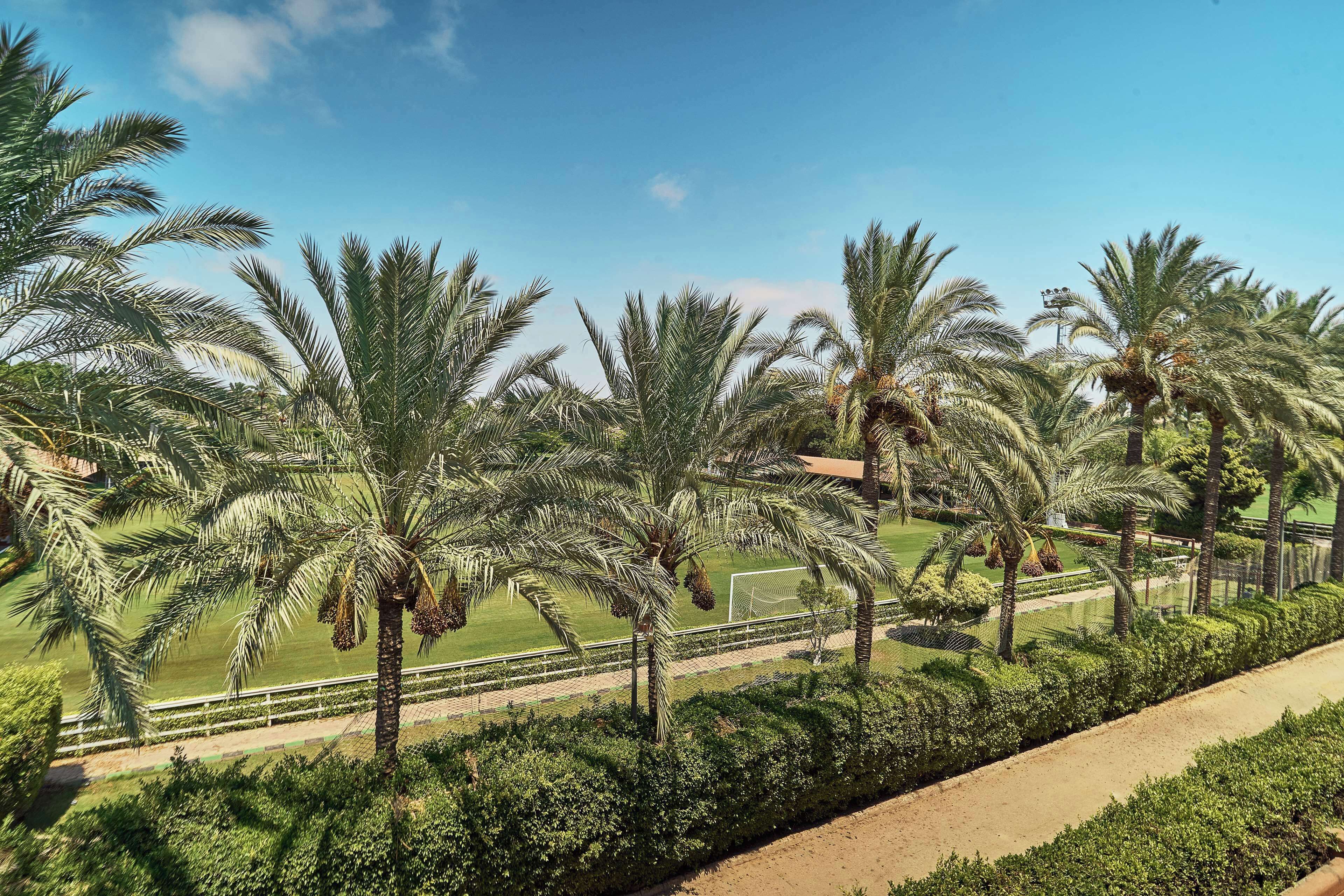 royal suite, 1 king bed, smoking | view from room