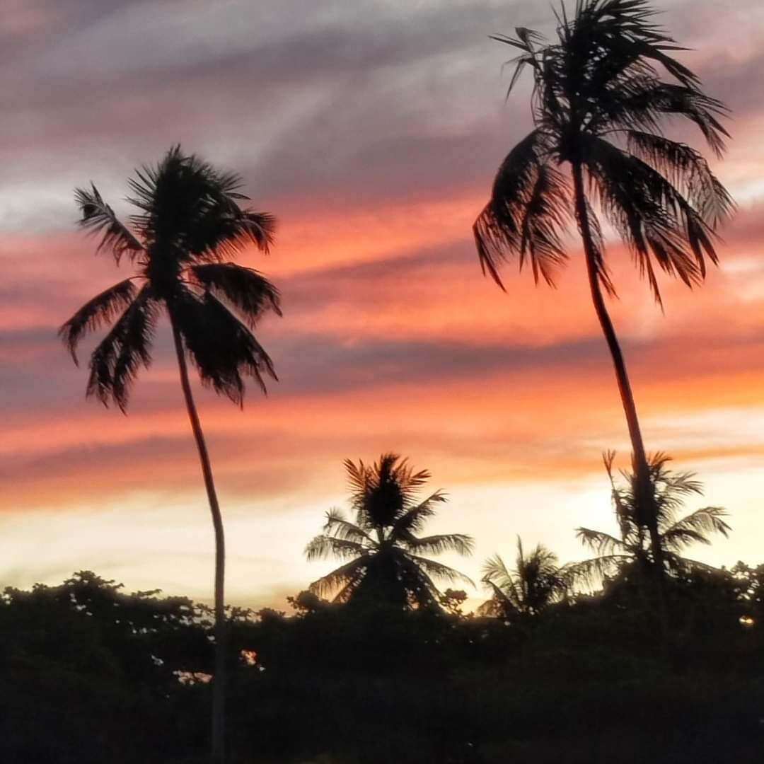 on the beach, beach towels, fishing