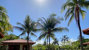 A pathway leading to a building with a red roof, surrounded by palm trees and a clear sky.