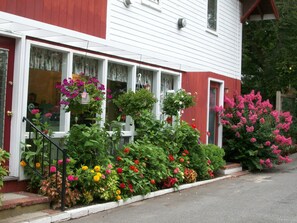Exterior - Treehouse Lodge (Woods Hole)