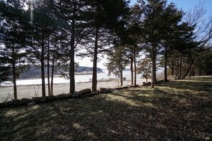 A park with tall trees and a view of a lake.