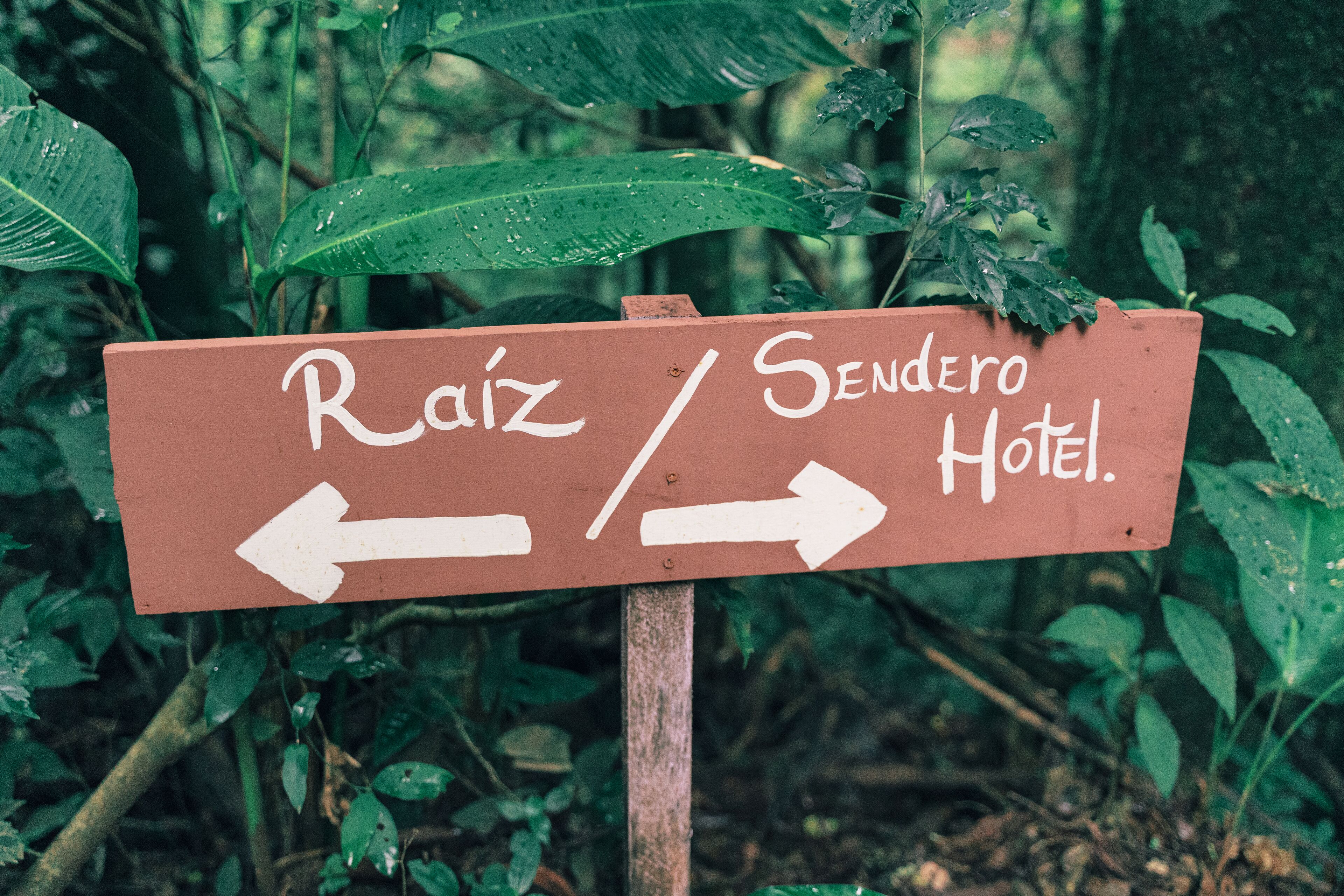 Una señal direccional con flechas que indican 'Raíz' y 'Sendero Hotel'.