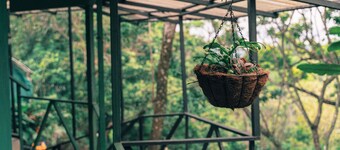 Hotel Jardines de Monteverde