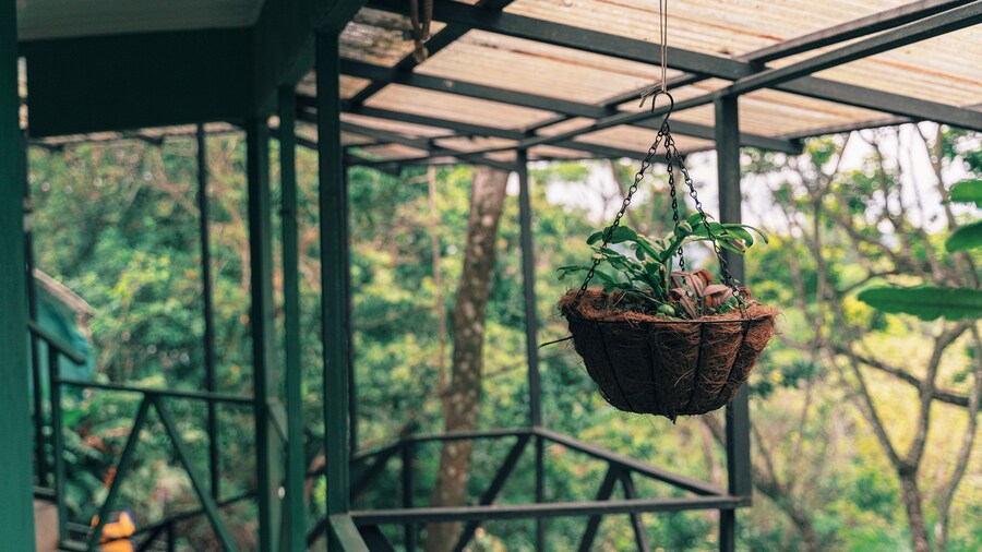 Hotel Jardines de Monteverde