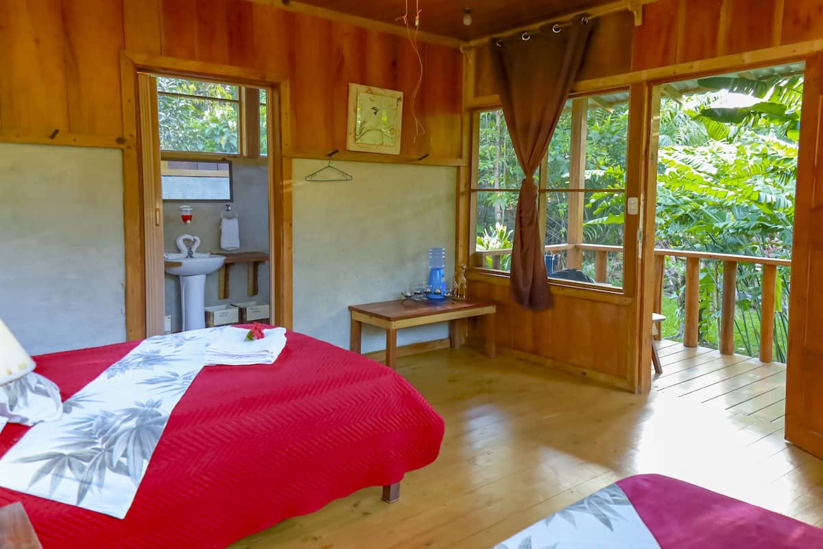 A wooden cabin with a bed, a small table, a sink, and a window with a view of greenery.