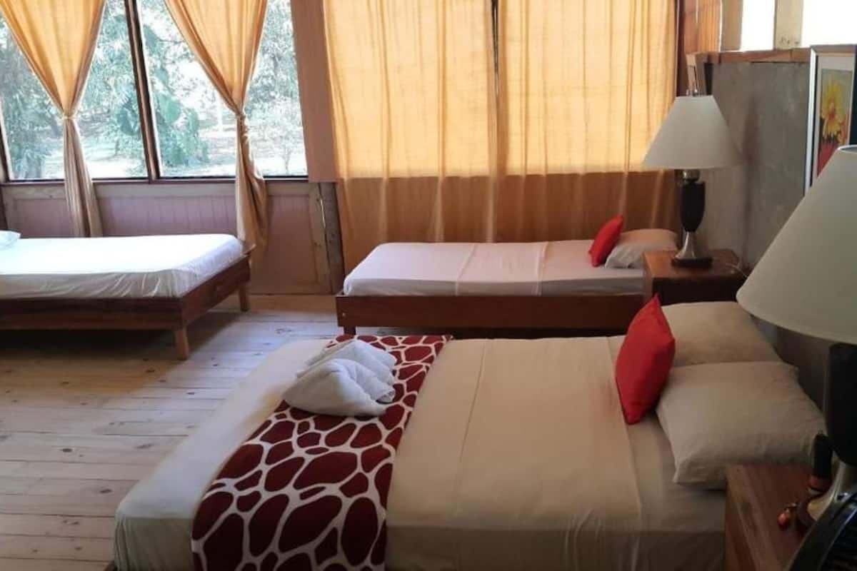 A room with two beds, a fan, and a lamp.