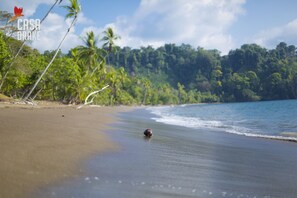 ใกล้ชายหาด, รถรับส่งชายหาด (คิดค่าบริการ), เรือพาย/เรือแคนู