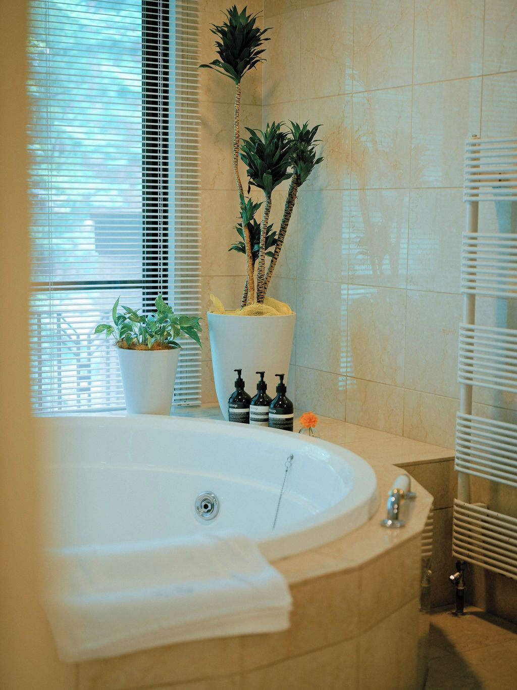 A bathroom with a bathtub, potted plants, and toiletries.