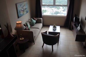 TV, Netflix, DVD player