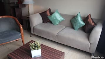 TV, Netflix, DVD player