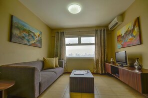 TV, Netflix, DVD player