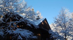 A wooden cabin with a snow-covered roof and surrounding trees. - Il Bosco (Hakuba)