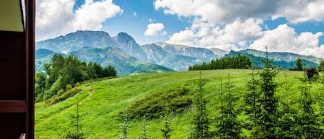 公寓 (Lipki Pokusa) | 山景
