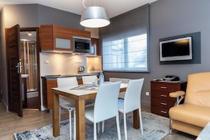 Appartement (Skocznia 1 ground floor) | Décor unique, ameublement unique, accès au Wi-Fi (inclus)