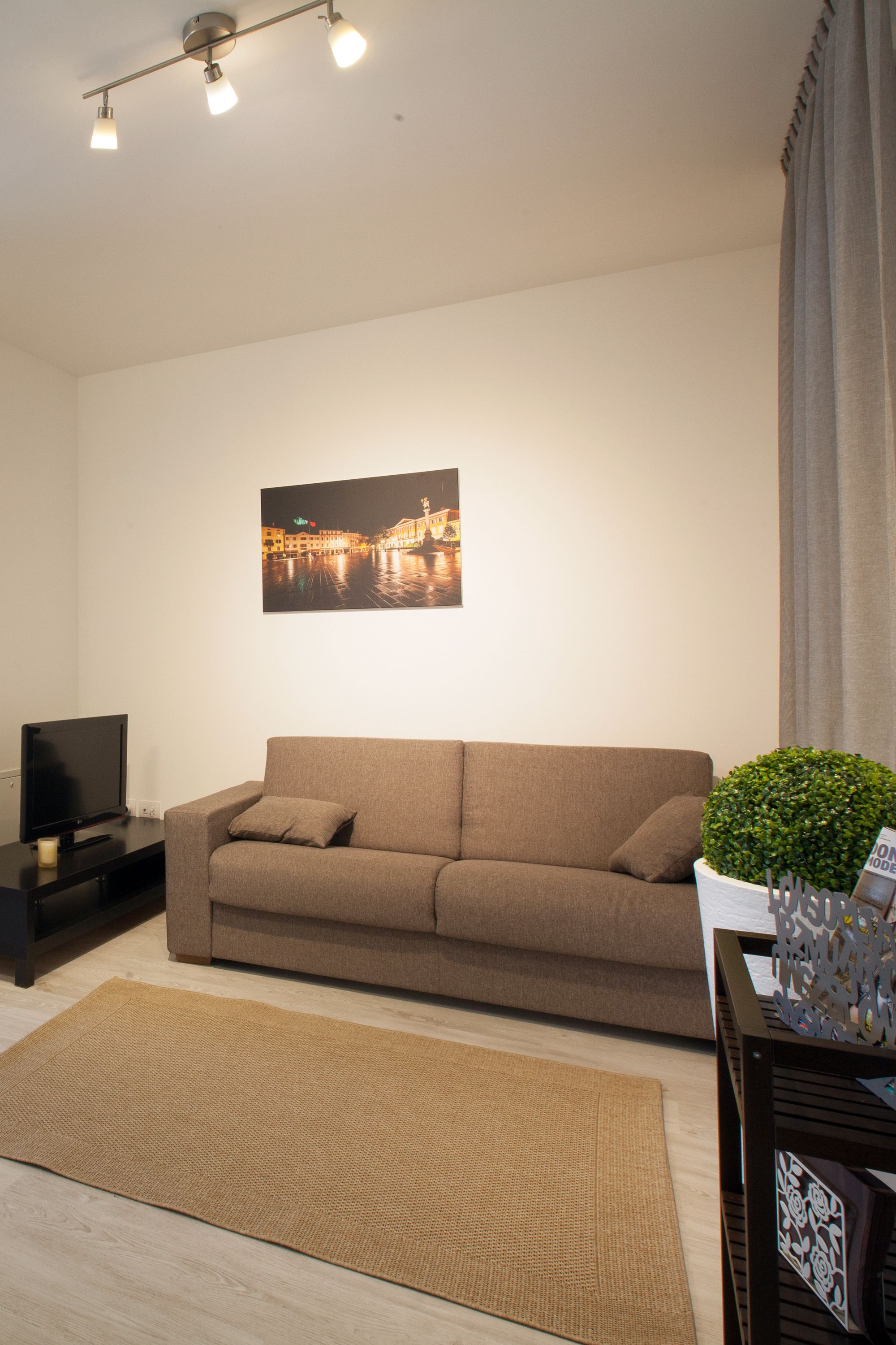 A living room with a sofa, a television, a framed picture on the wall, and a plant on a side table.