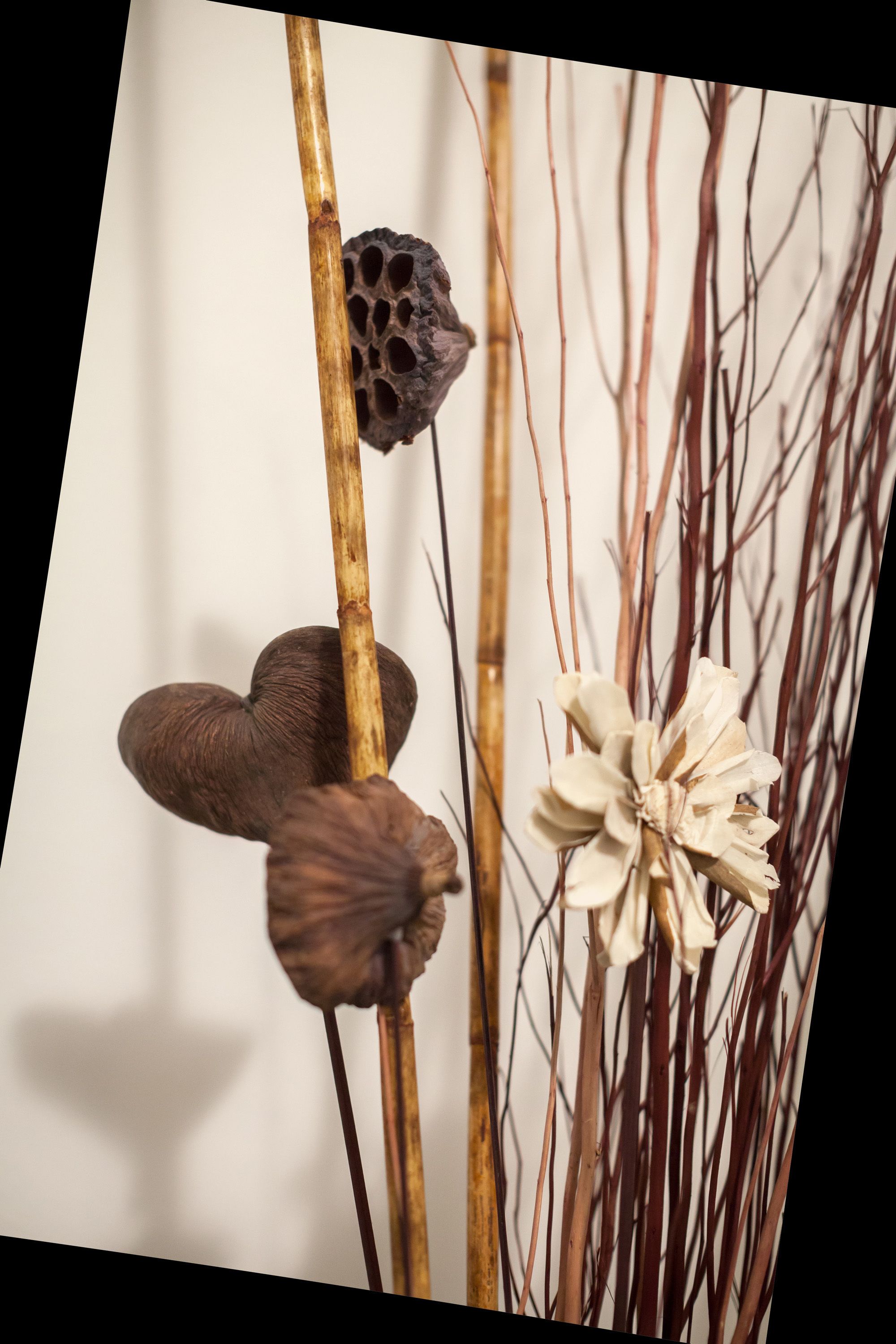 Un arreglo decorativo con un bastón de bambú, una flor seca y un objeto con textura.