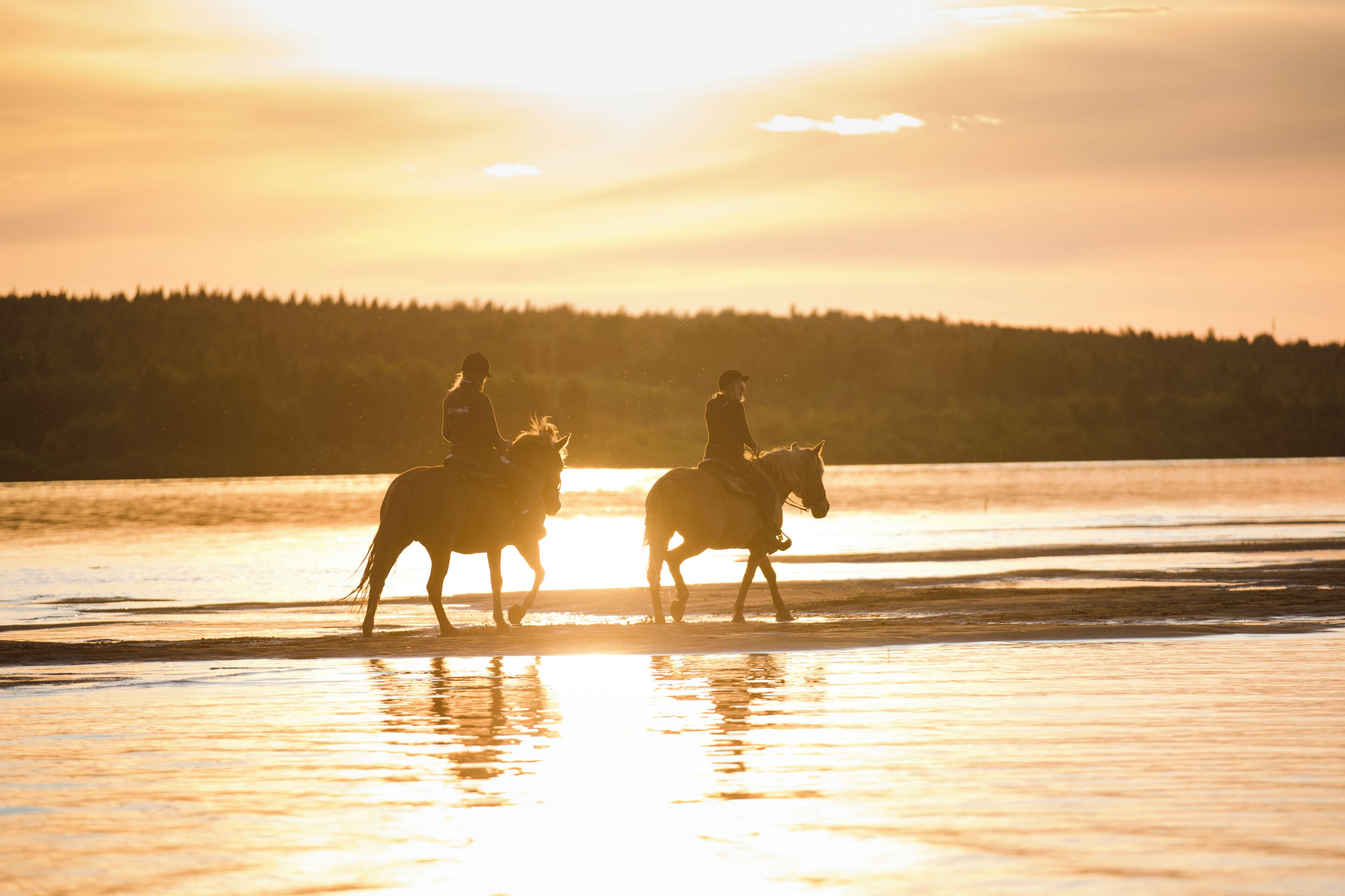 Two people riding horses on a beach at sunset.