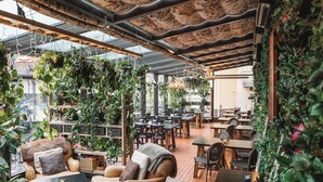 A cozy outdoor seating area with tables and chairs, surrounded by lush greenery and plants.