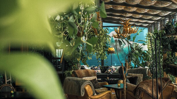 Un área de estar interior acogedora con techo alto, plantas y vistas por una ventana.