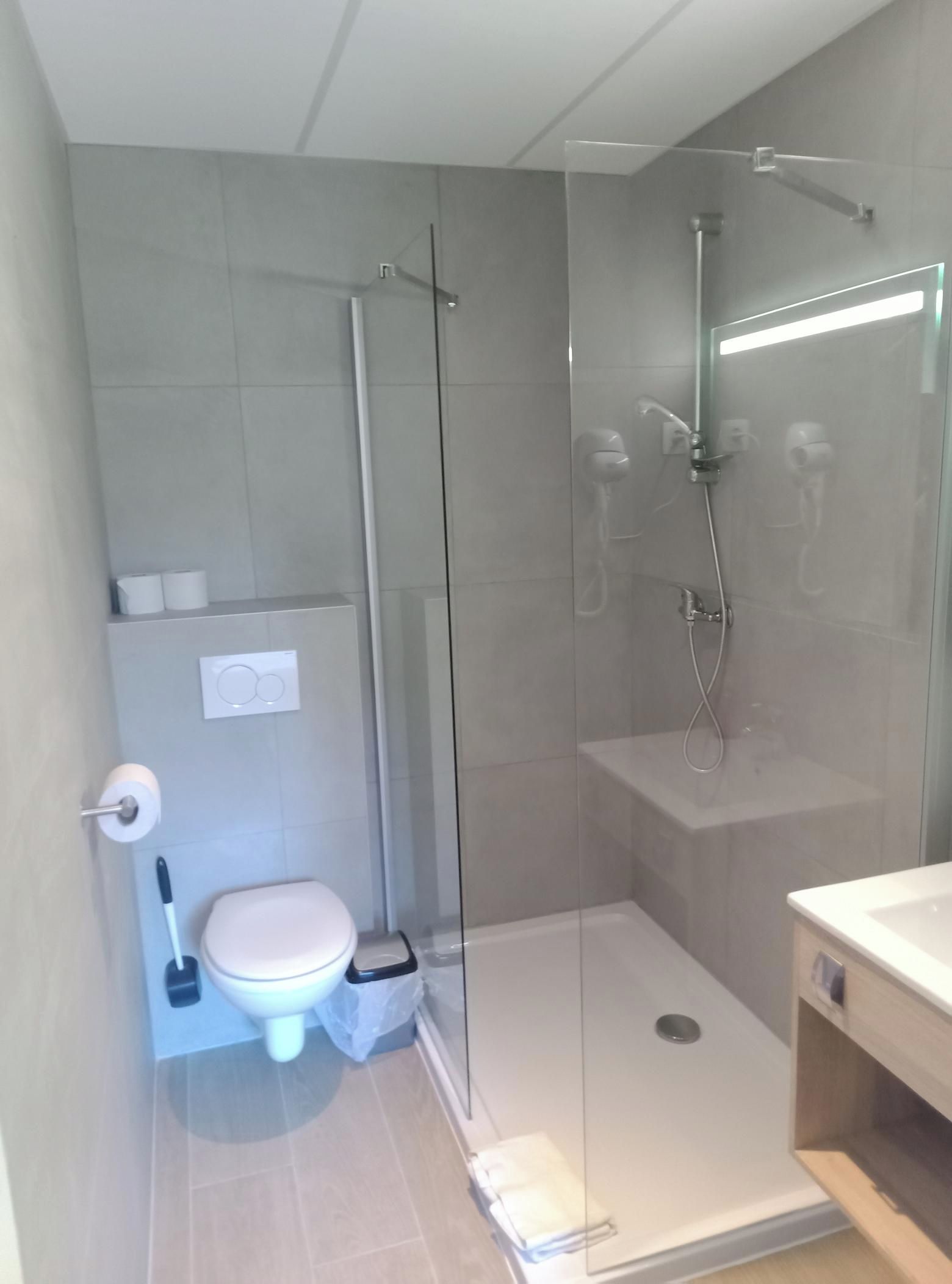 A modern bathroom with a glass-enclosed shower, a toilet, and a sink.