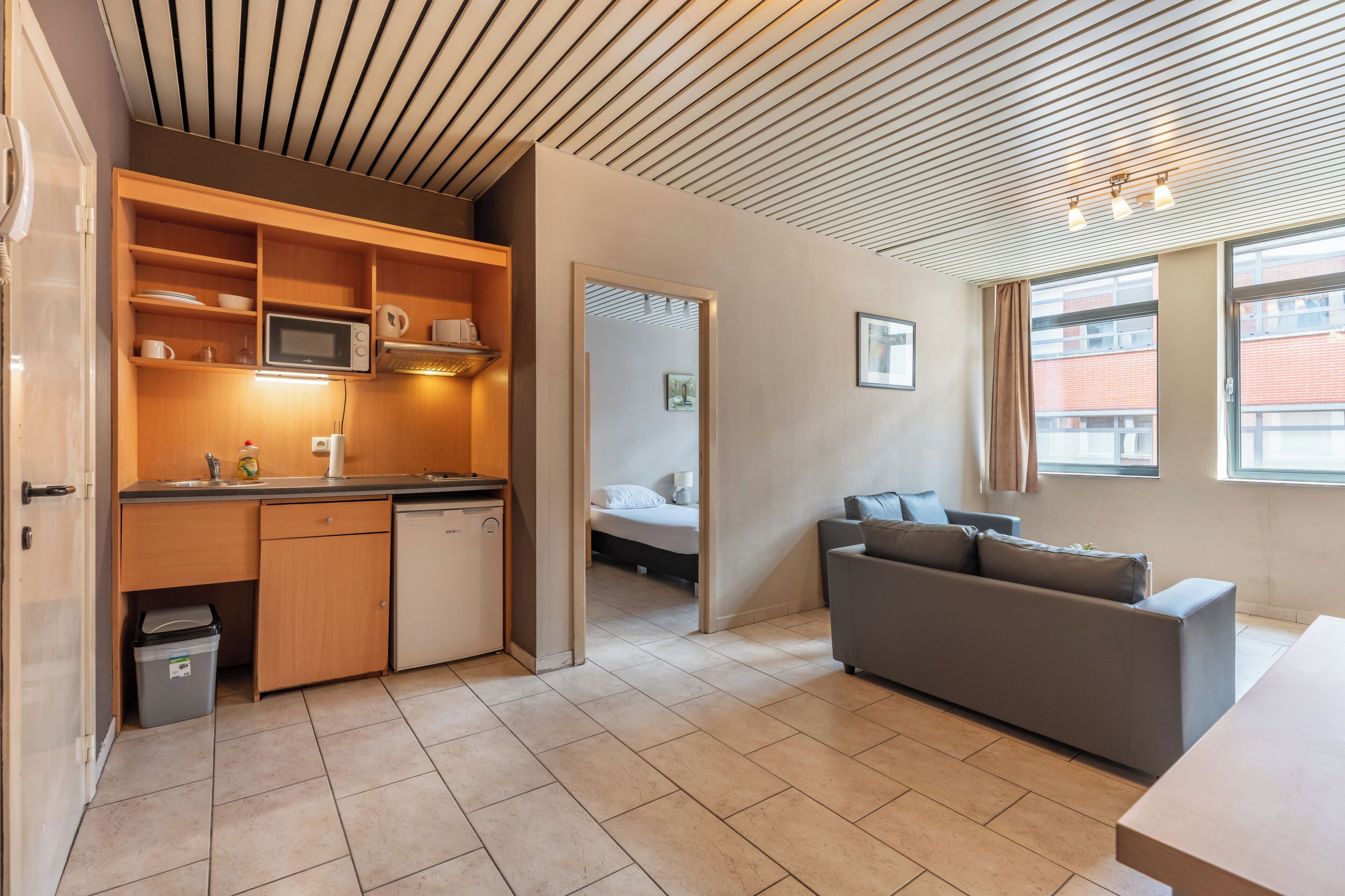 A compact living space with a kitchenette, a sofa, and a bed.