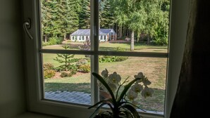 A window with a view of a house, a lawn, and a potted orchid plant.