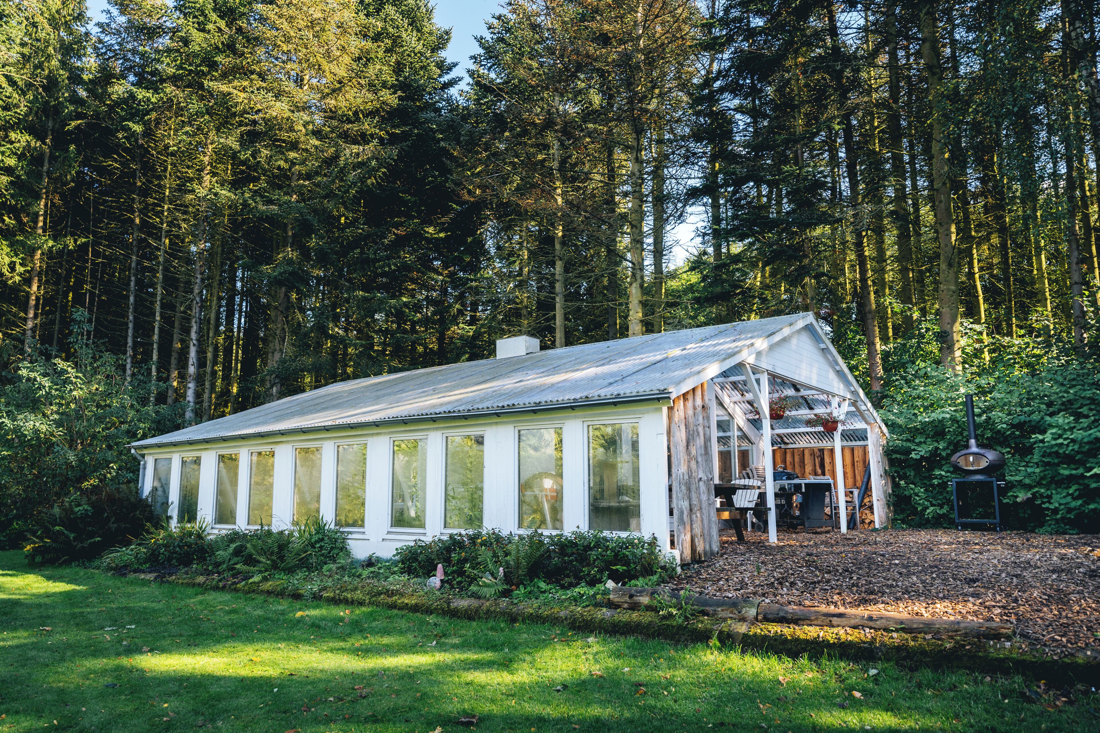 A glass greenhouse structure with a wooden roof, surrounded by a forest.