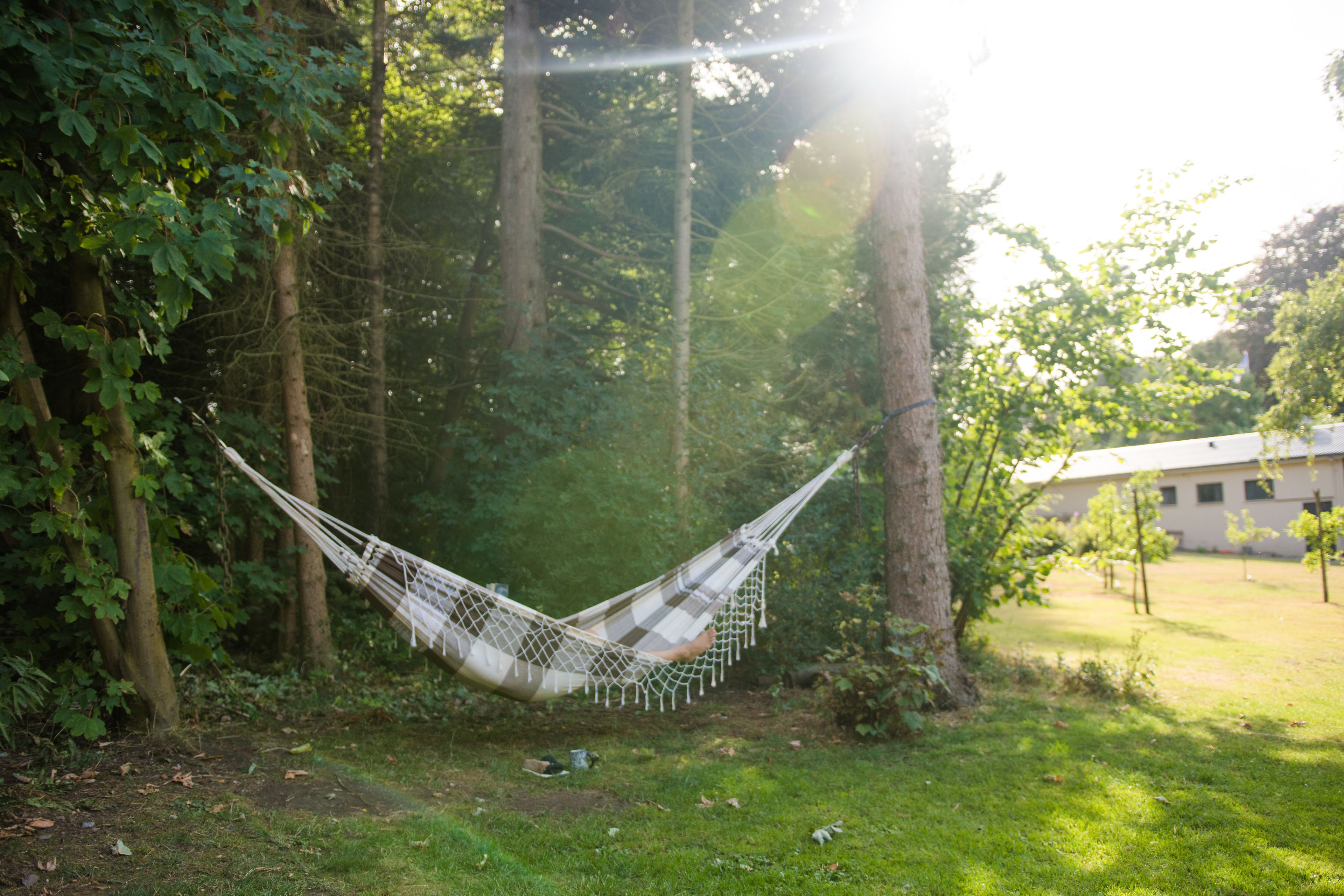 A hammock in a wooded area with a building in the background.
