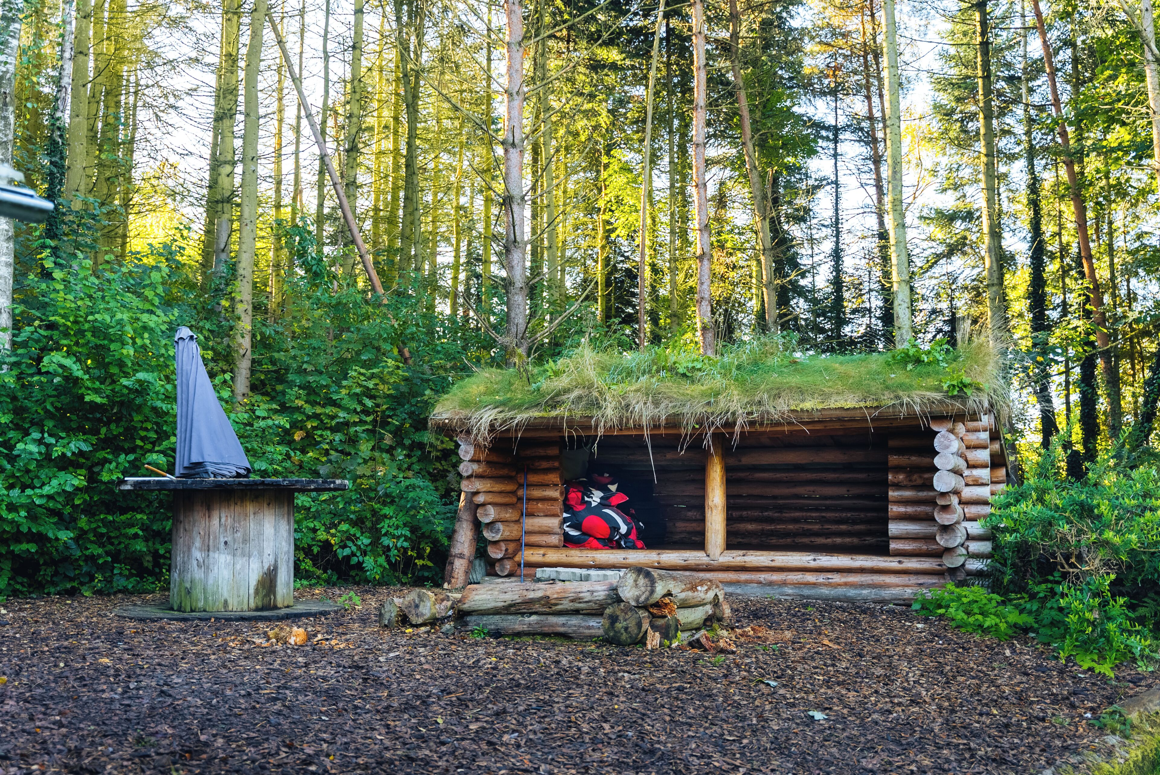 Un rustico cottage in legno con tetto di paglia, immerso in una foresta.