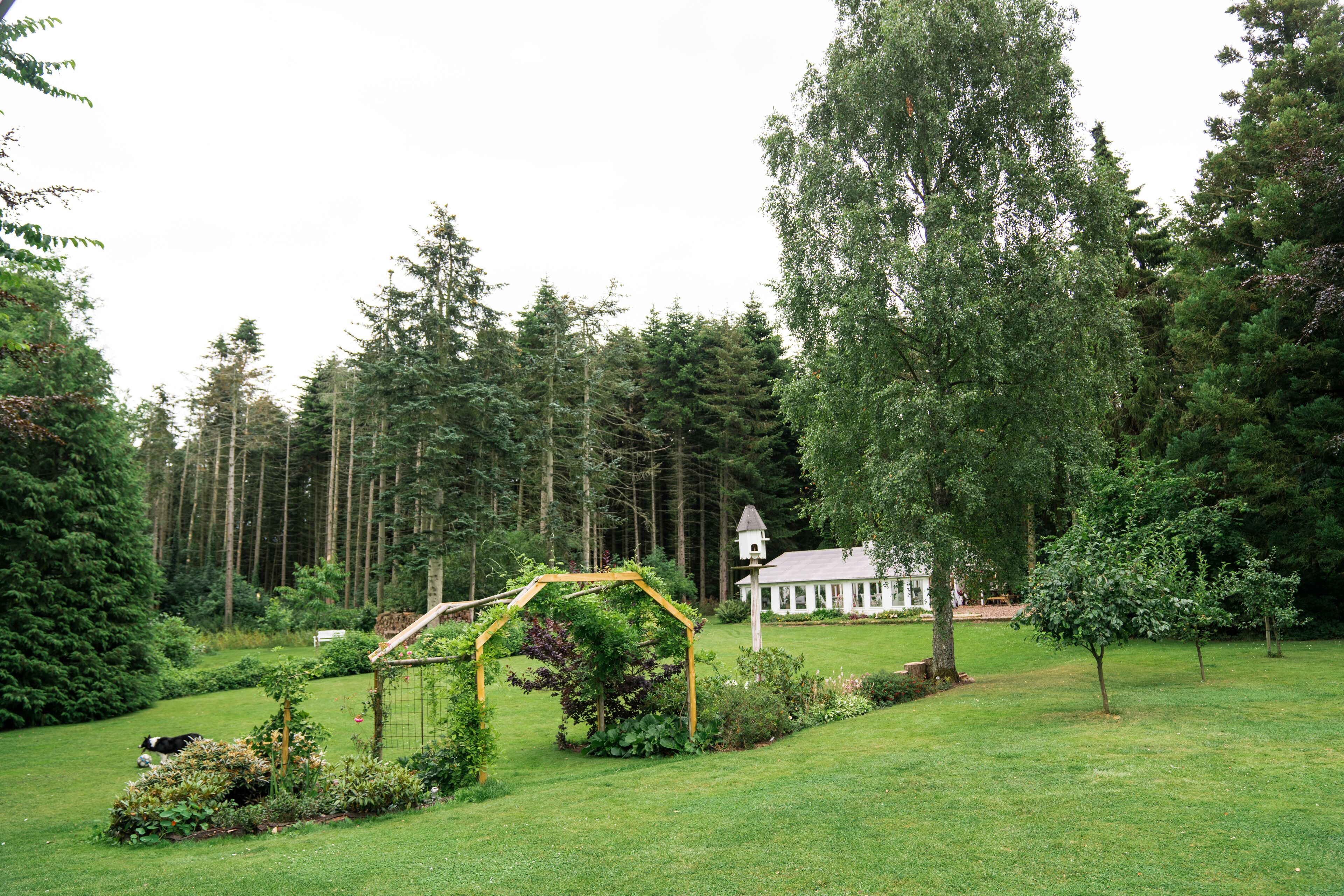 En trädgård med en träbeklädd pergola, en vit byggnad med ett torn och en ko som betar.