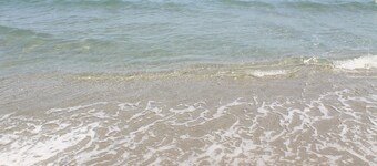 Chambres d'hôtes Le Clos des Oliviers