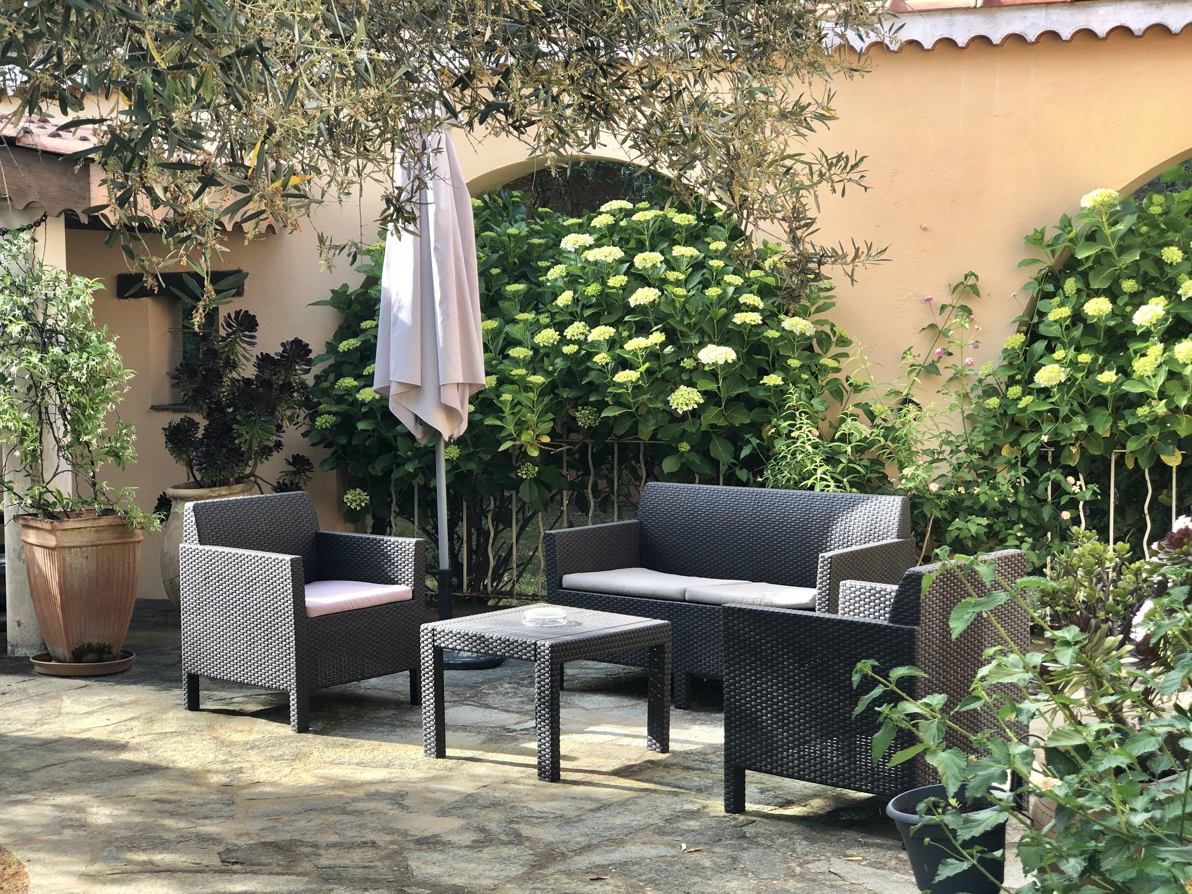 Zona patio esterna con mobili in vimini, tra cui un divano e un tavolo, circondata da piante in vaso e una pianta rampicante con fiori gialli.