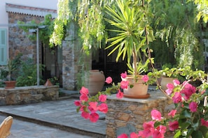 Terrace/patio - Chambres d'hôtes Le Clos des Oliviers (Sorbo-Ocagnano)