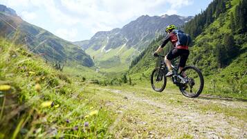 Een mountainbiker op een grindpad, omgeven door weelderige begroeiing en bergen.