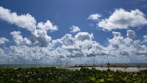 Beach nearby, beach cabanas, sun-loungers, beach umbrellas - Hotel Del-Fino (Treasure Island)