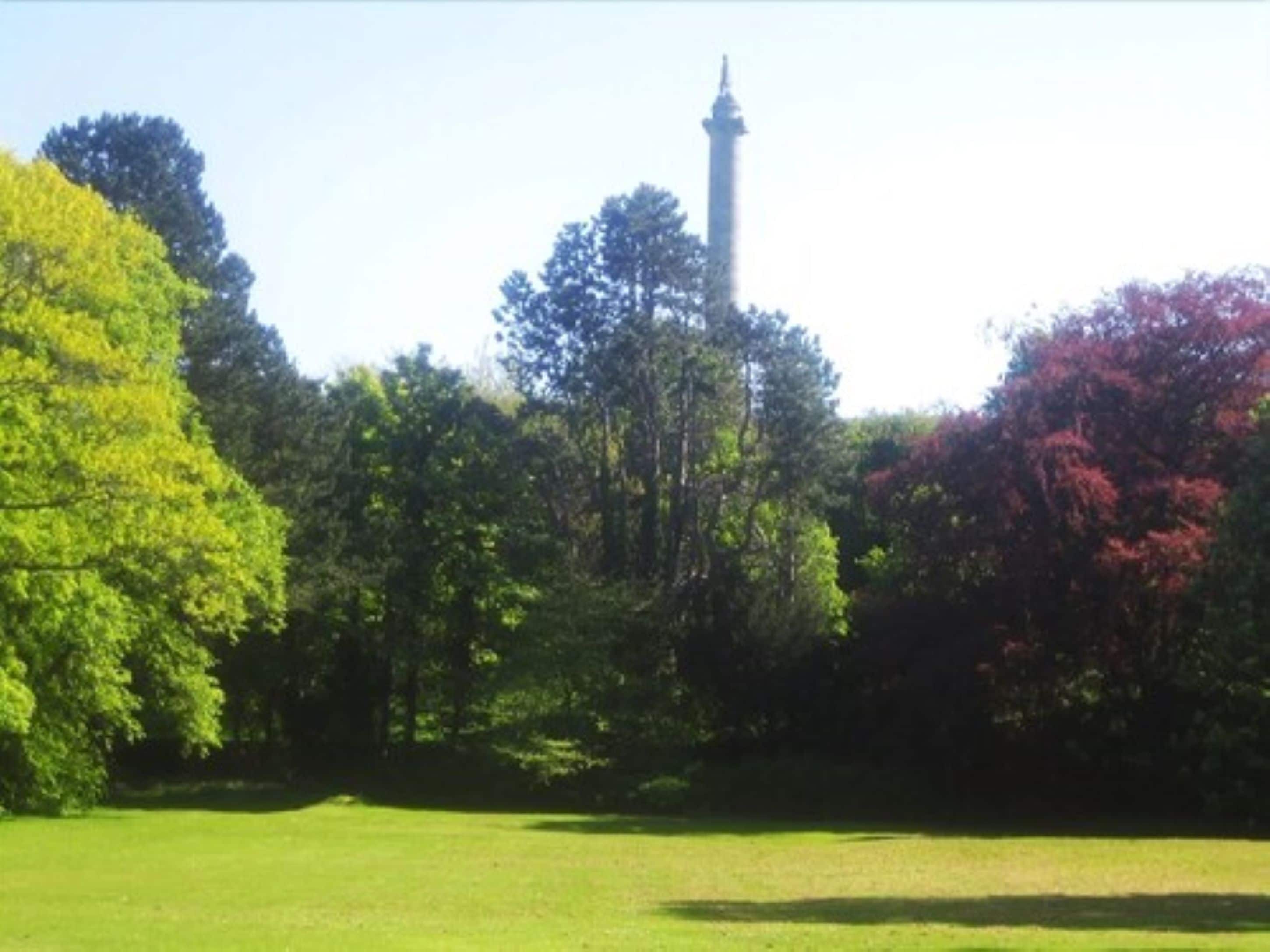 A park with a tall monument, green grass, and trees with red leaves.