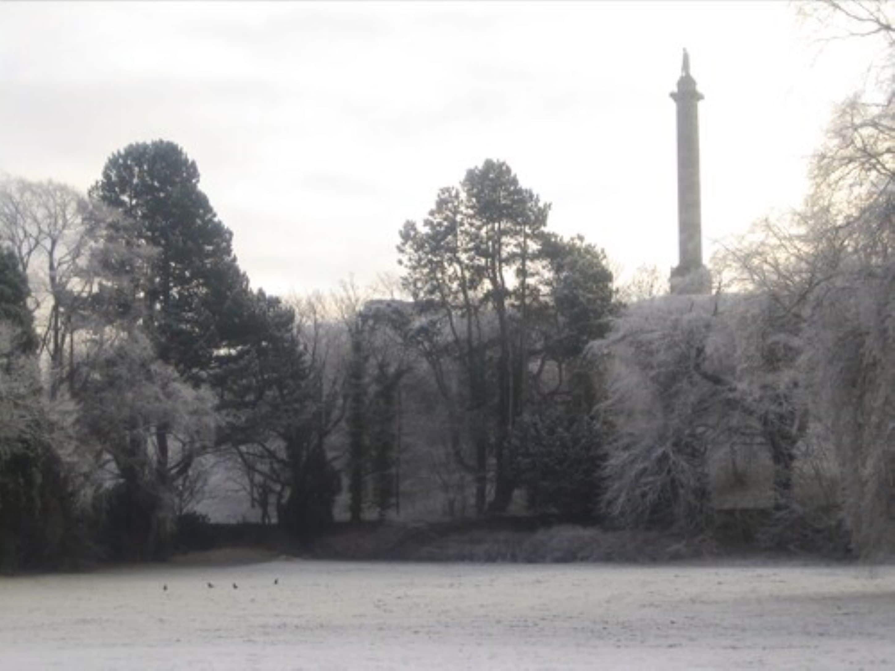 A snow-covered park with a tall monument and dense trees.