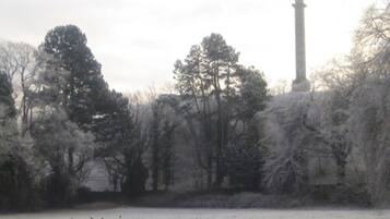 A snow-covered park with a tall monument and dense trees.