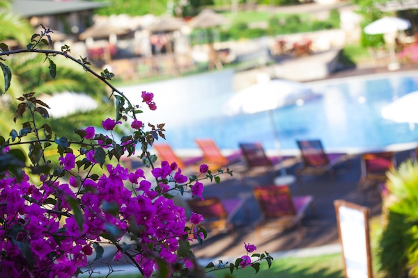 Seasonal outdoor pool, sun loungers