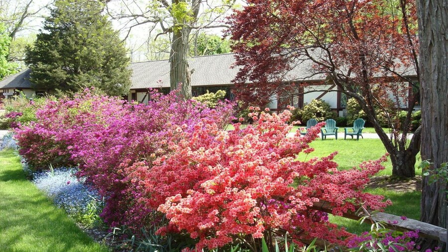 The Earl of Sandwich Motel