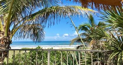 Surf Studio Beach Resort