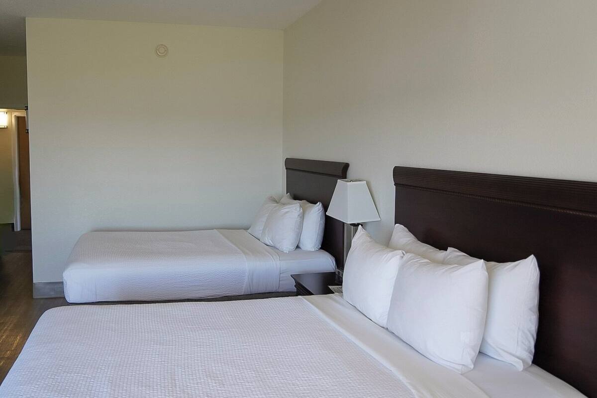 Habitación de hotel con dos camas individuales, una mesita de noche con lámpara y una pared lisa.