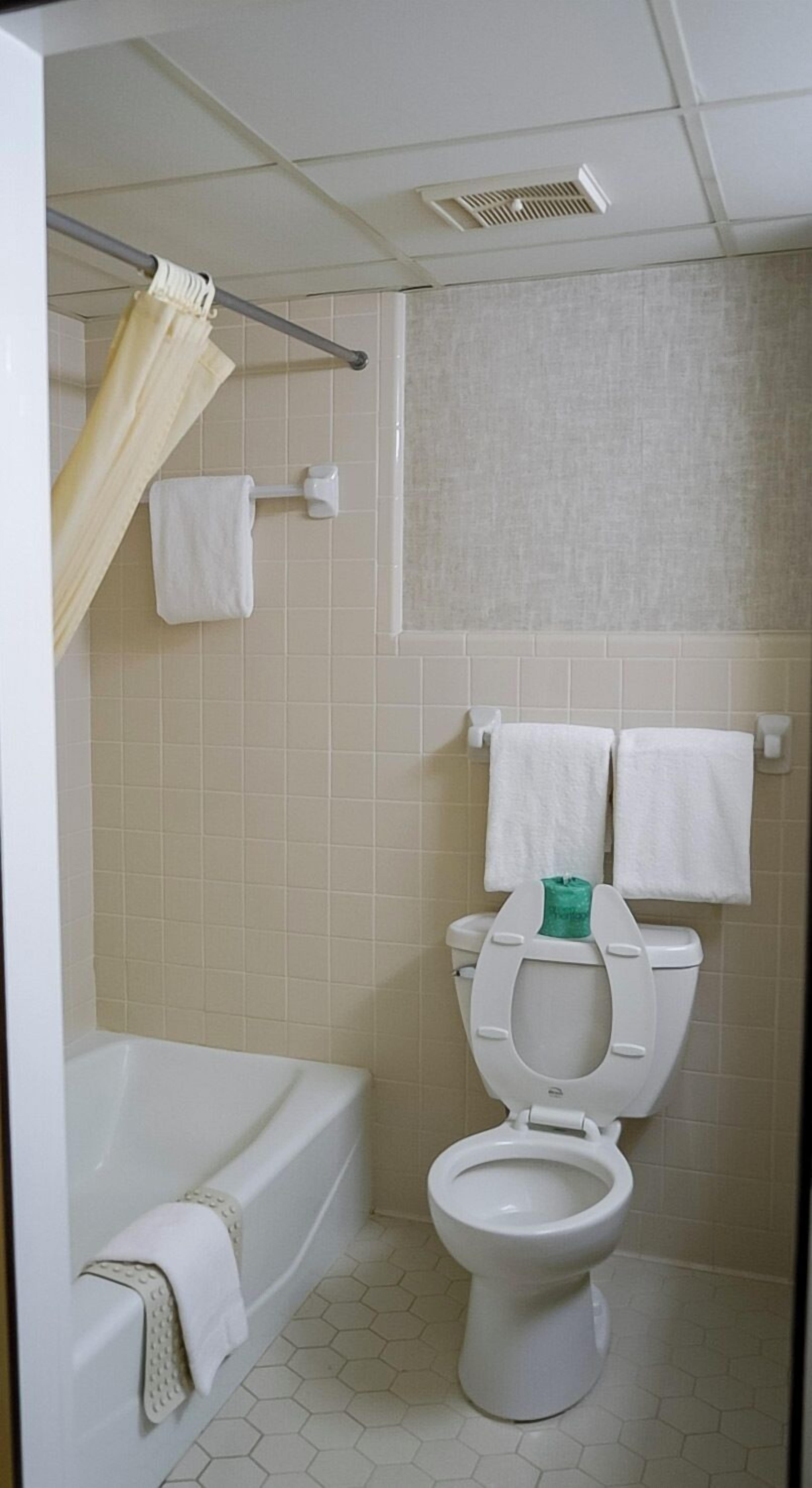 A bathroom with a toilet, a bathtub, and a shower curtain.