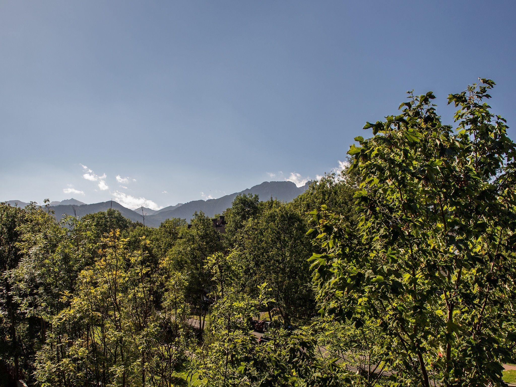 land view from property