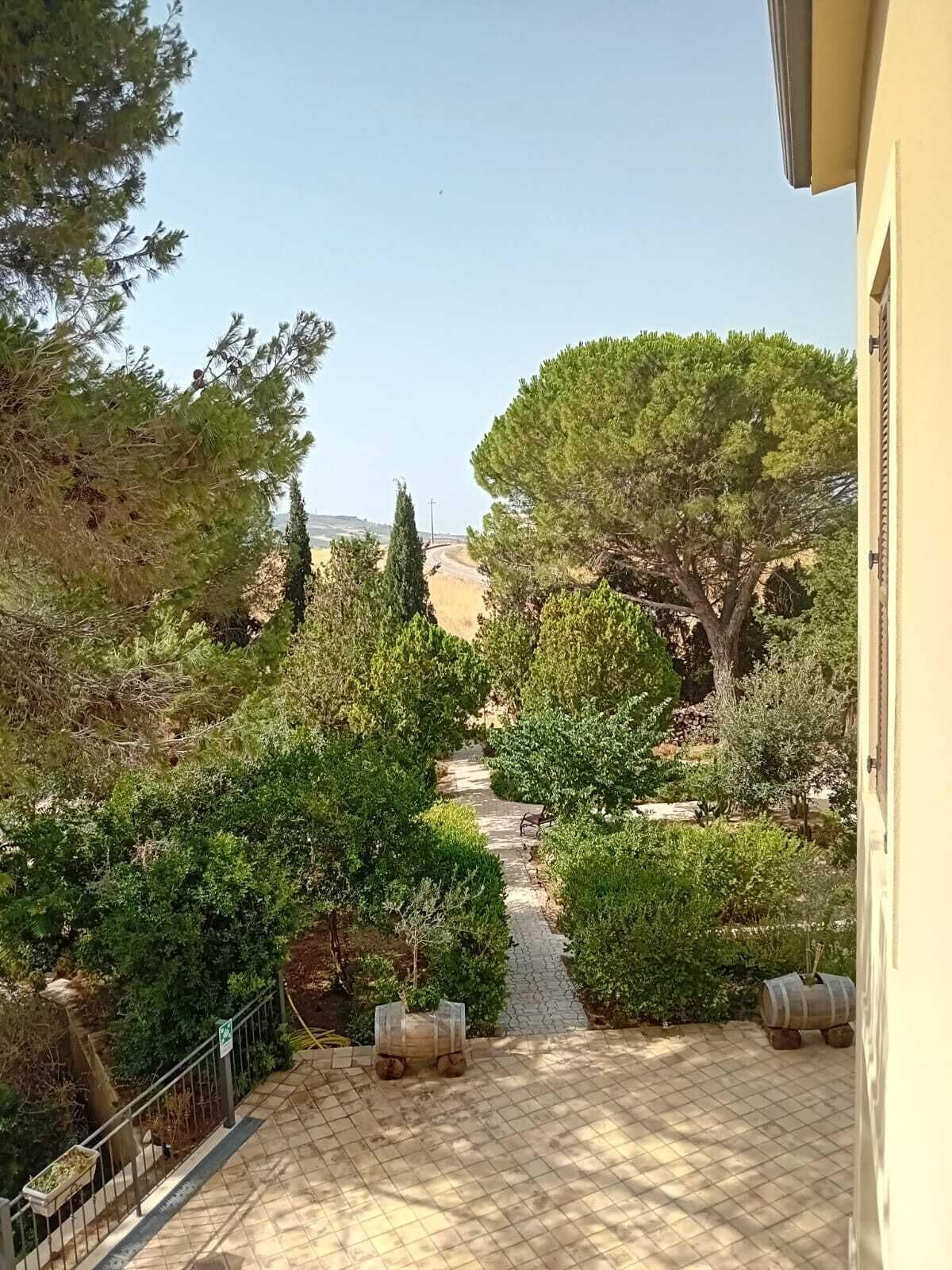 A paved pathway leading to a building surrounded by greenery and trees.