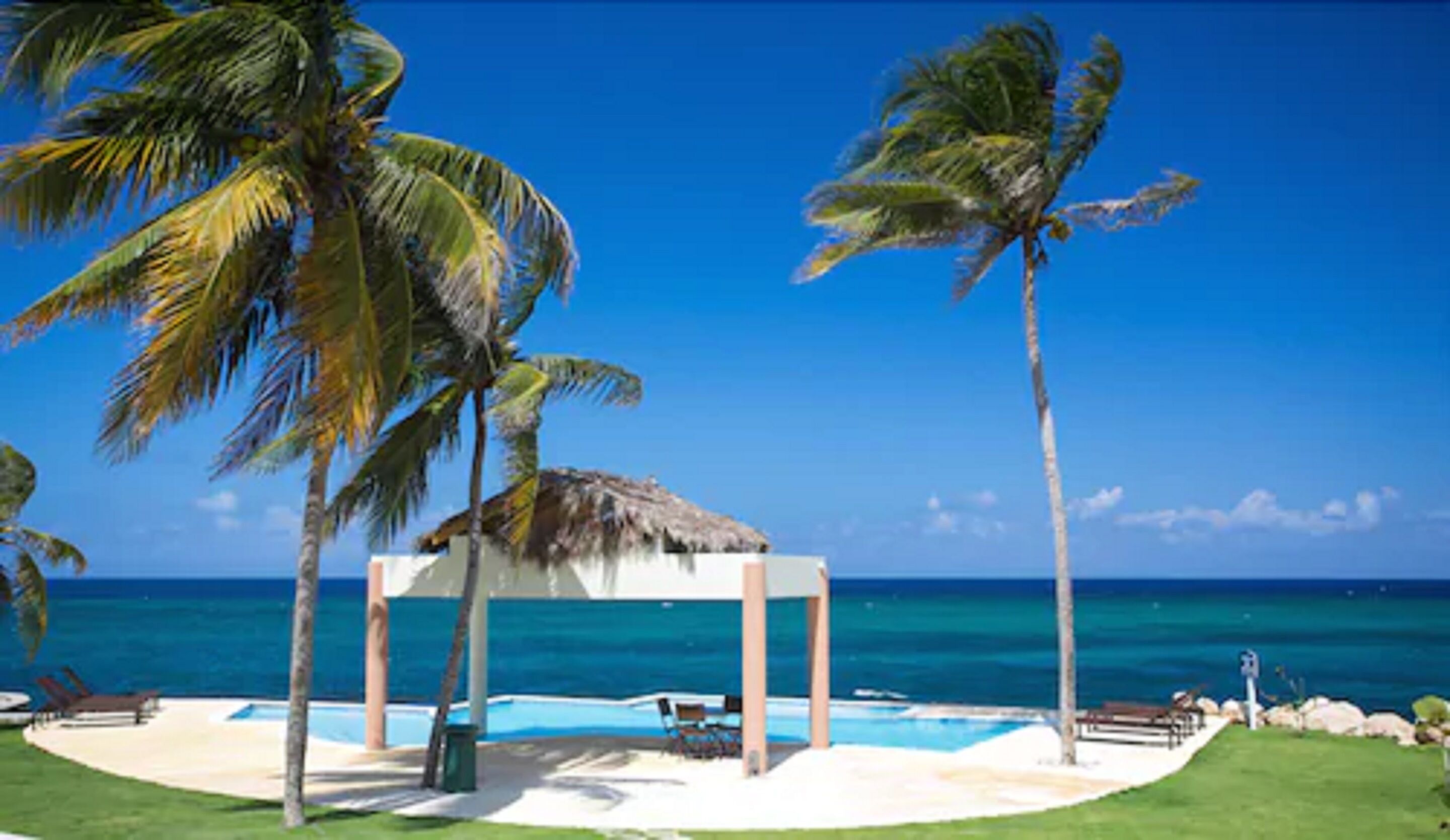 A beachside resort with a pool, palm trees, and a thatched-roof pavilion.