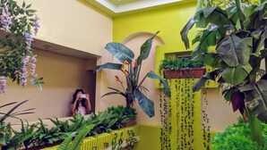 A room with yellow walls, a ceiling with skylights, and various plants including ferns and flowering plants.